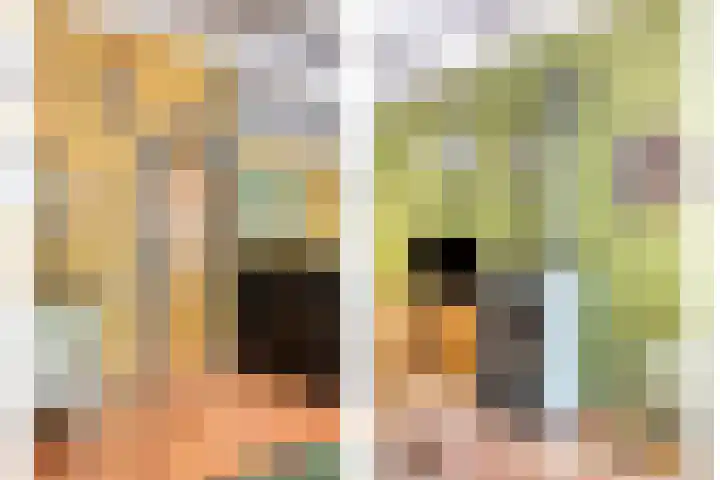 Prins Bernhardstraat 7 Clinge thumbnail 10