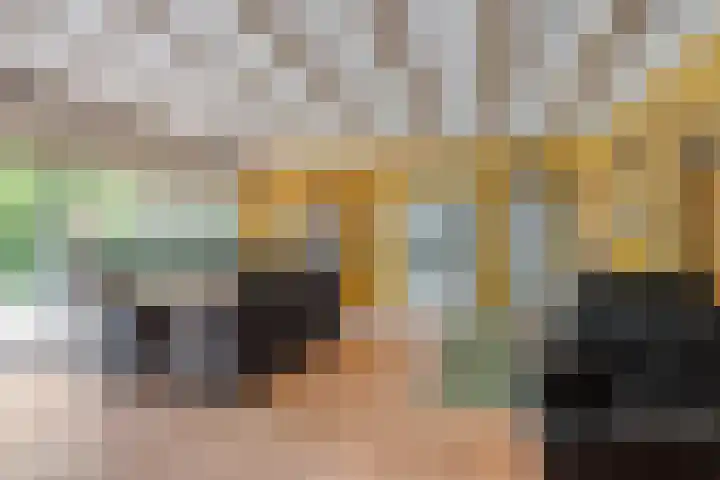 Prins Bernhardstraat 7 Clinge thumbnail 11