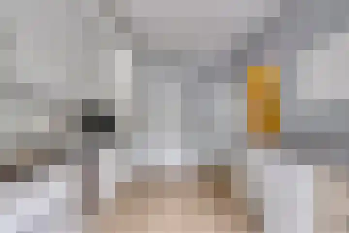 Prins Bernhardstraat 7 Clinge thumbnail 13