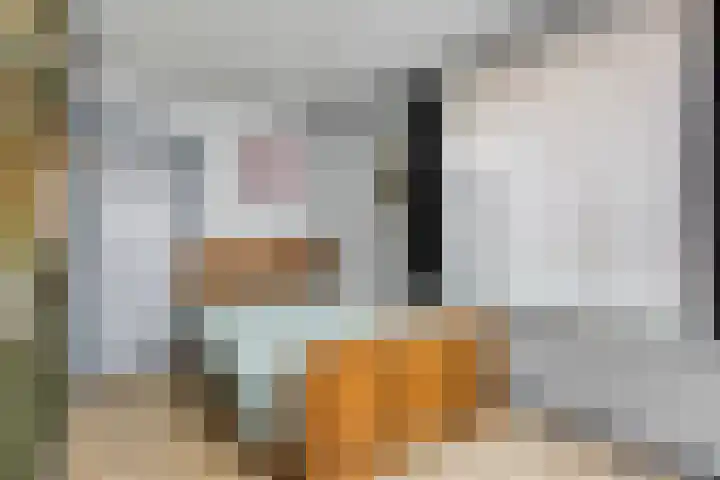 Prins Bernhardstraat 7 Clinge thumbnail 16