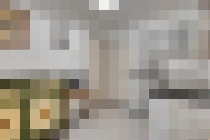 Prins Bernhardstraat 7 Clinge thumbnail 19
