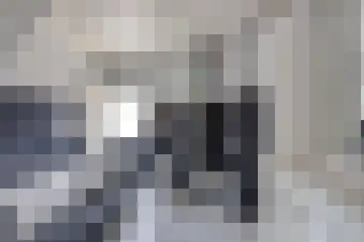 Prins Bernhardstraat 7 Clinge thumbnail 22