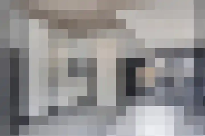 Prins Bernhardstraat 7 Clinge thumbnail 23
