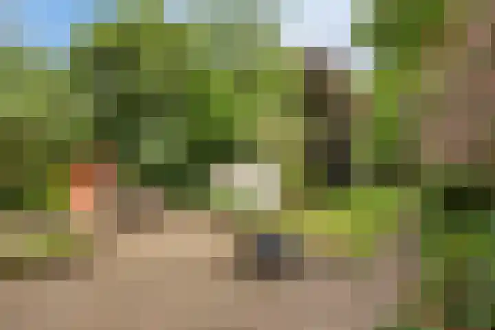 Prins Bernhardstraat 7 Clinge thumbnail 30