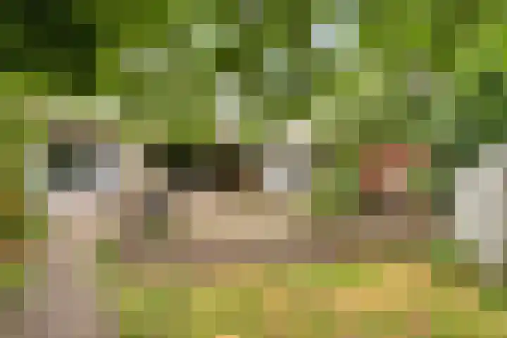 Prins Bernhardstraat 7 Clinge thumbnail 31