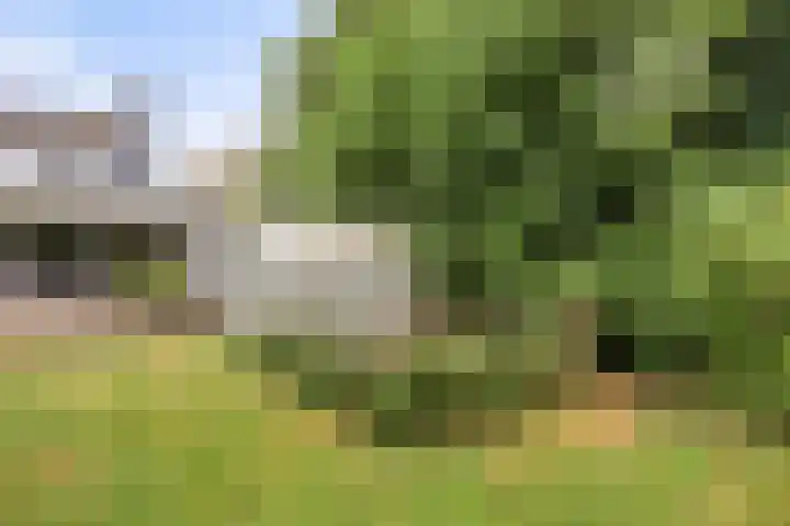 Prins Bernhardstraat 7 Clinge thumbnail 32