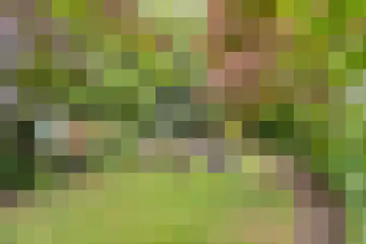 Prins Bernhardstraat 7 Clinge thumbnail 33