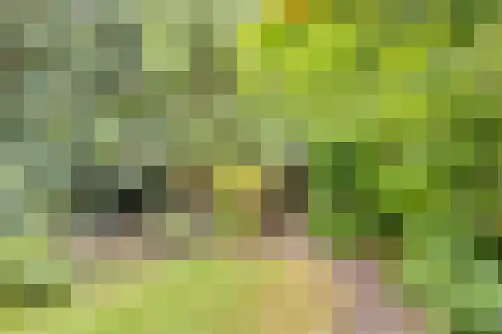 Prins Bernhardstraat 7 Clinge thumbnail 34
