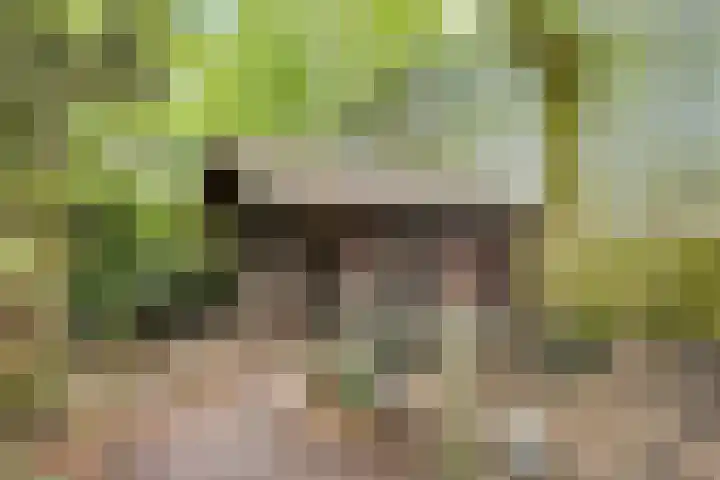 Prins Bernhardstraat 7 Clinge thumbnail 35