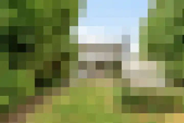Prins Bernhardstraat 7 Clinge thumbnail 4