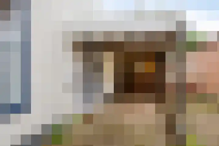 Prins Bernhardstraat 7 Clinge thumbnail 6