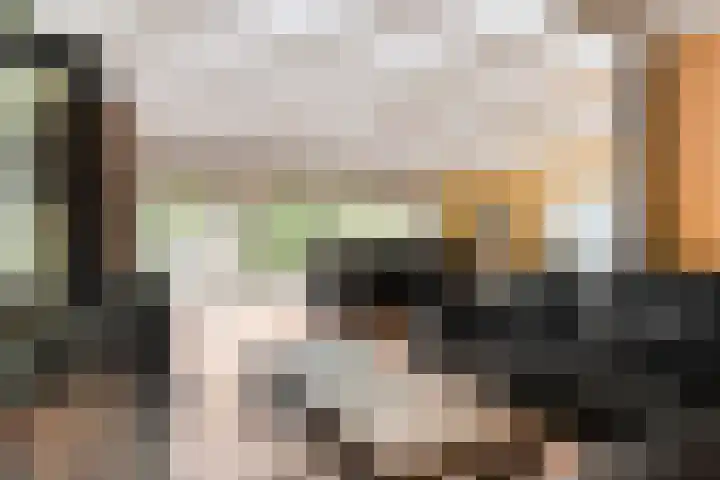 Prins Bernhardstraat 7 Clinge thumbnail 8