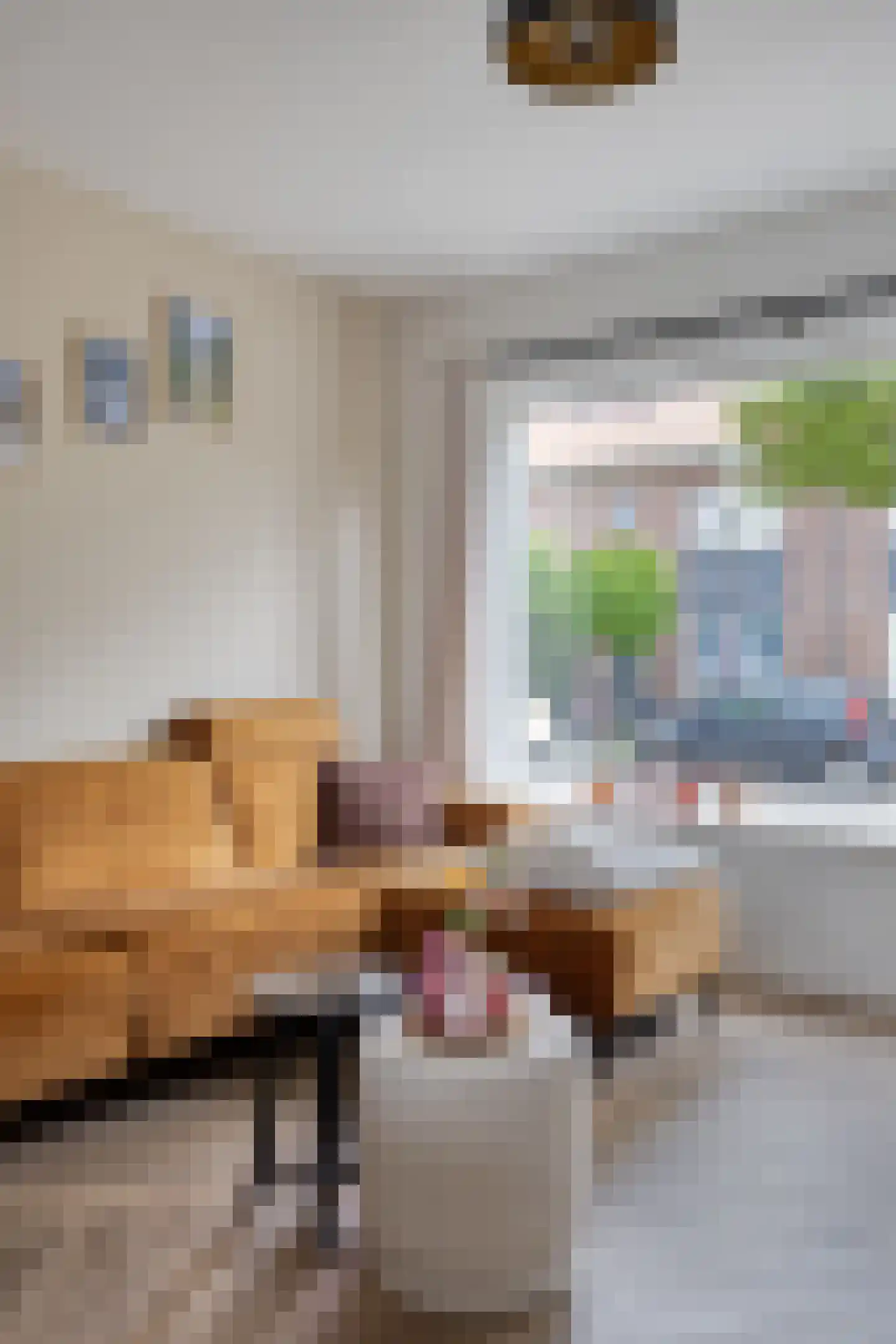 Prins Bernhardstraat 7 Goudswaard thumbnail 20