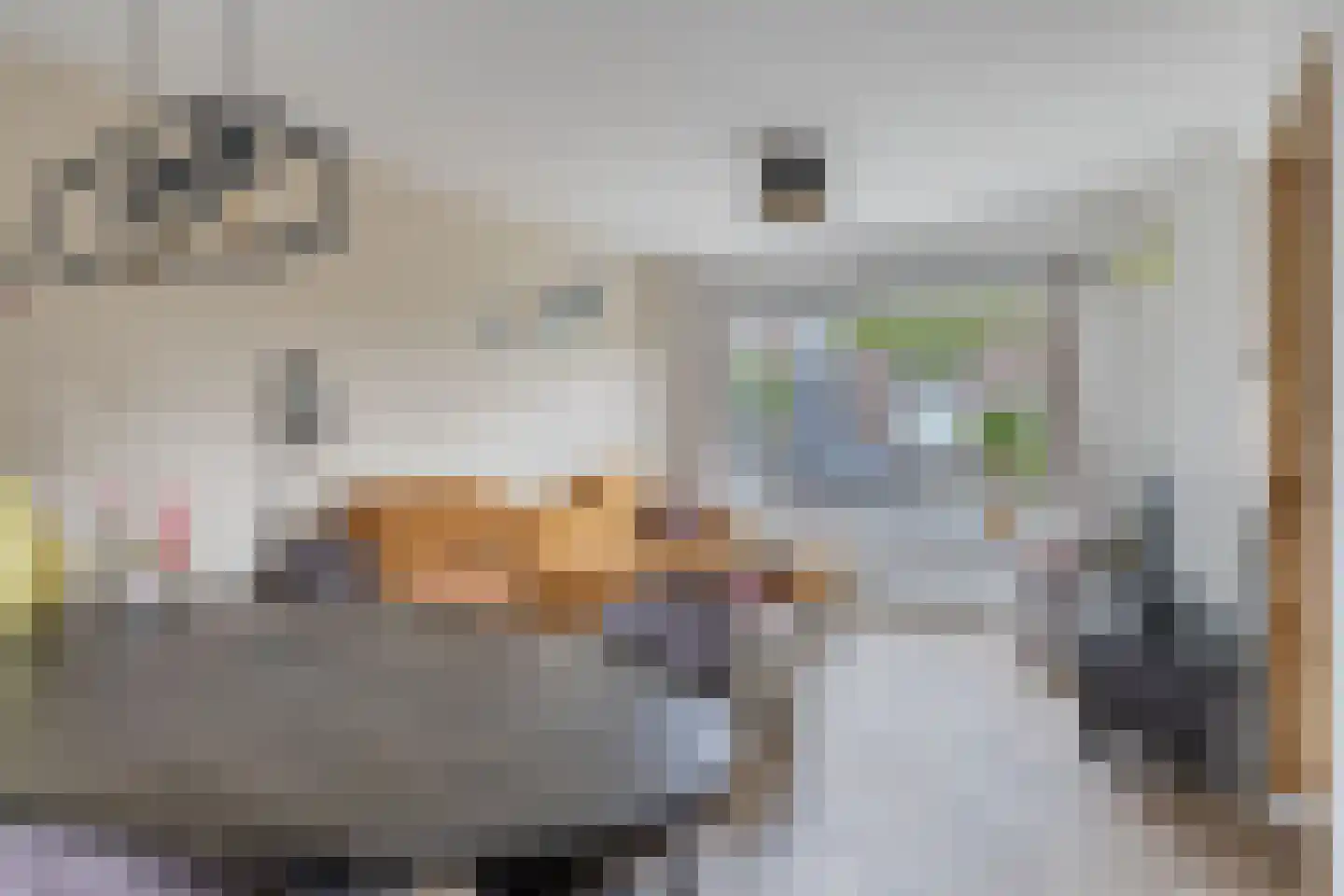 Prins Bernhardstraat 7 Goudswaard thumbnail 8