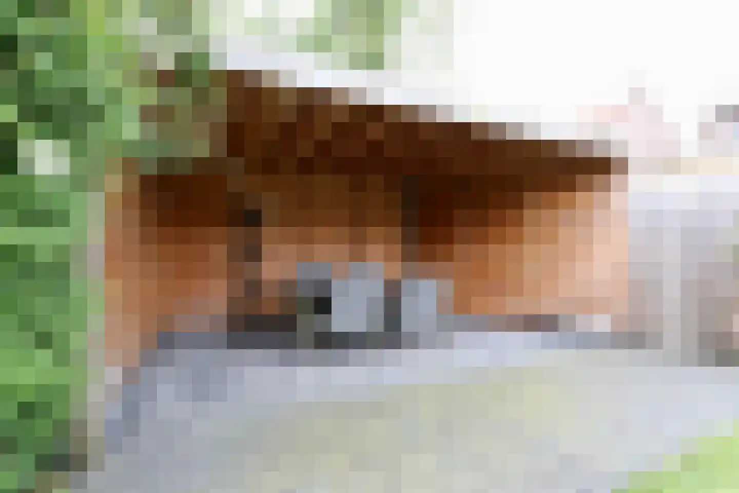 Prins Bernhardstraat 7 Landgraaf thumbnail 10