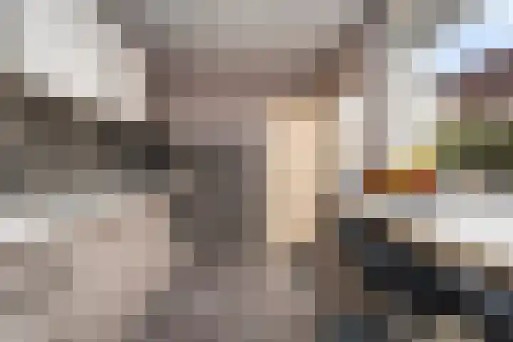 Prins Bernhardstraat 7 Voorhout thumbnail 6