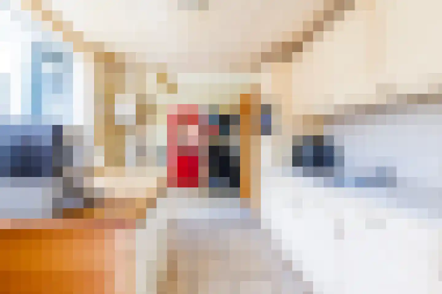 Prins Bernhardstraat 7 Wehl thumbnail 10