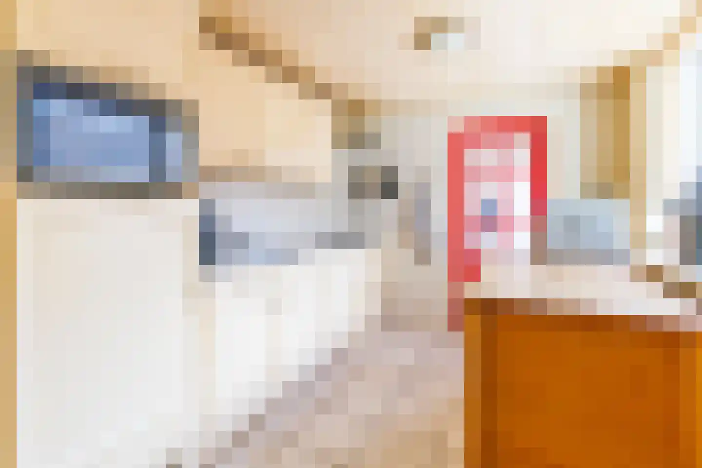 Prins Bernhardstraat 7 Wehl thumbnail 9