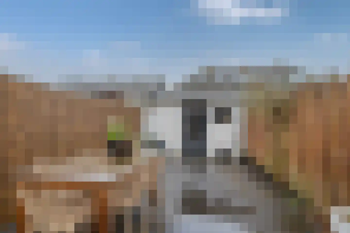 Prins Bernhardstraat 70 Hillegom thumbnail 20