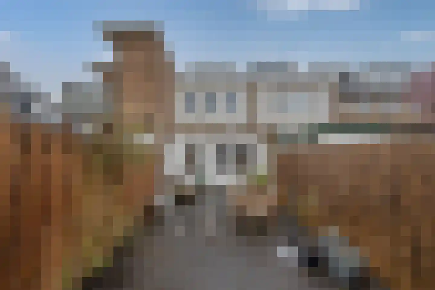 Prins Bernhardstraat 70 Hillegom thumbnail 21