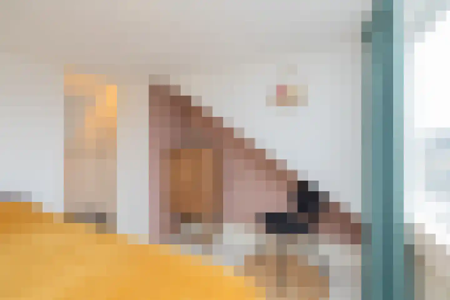 Prins Bernhardstraat 70 Hillegom thumbnail 41