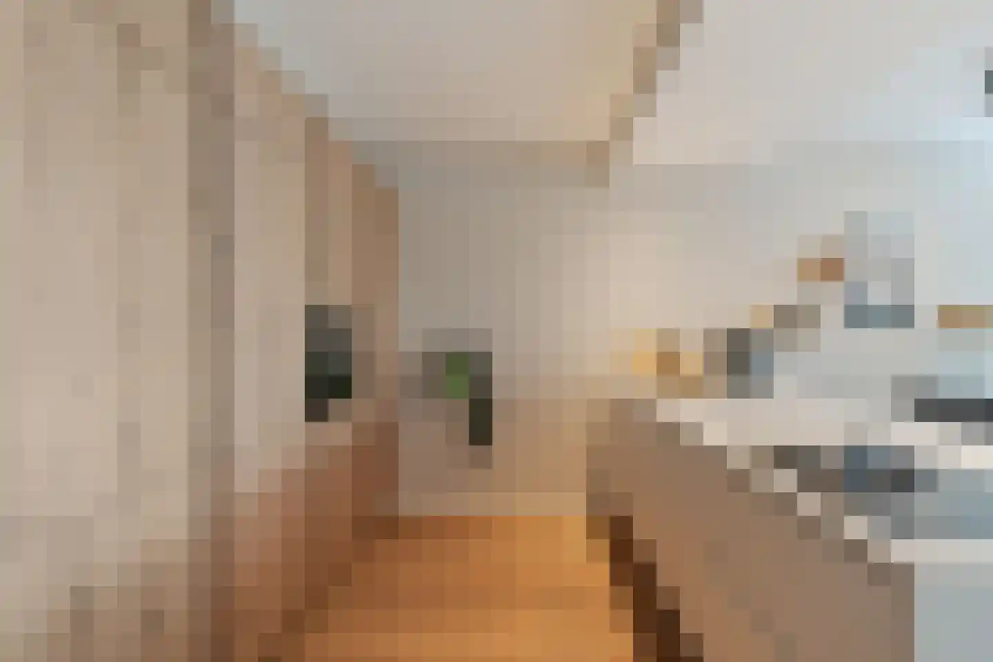 Prins Bernhardstraat 76 Noordwijk thumbnail 11