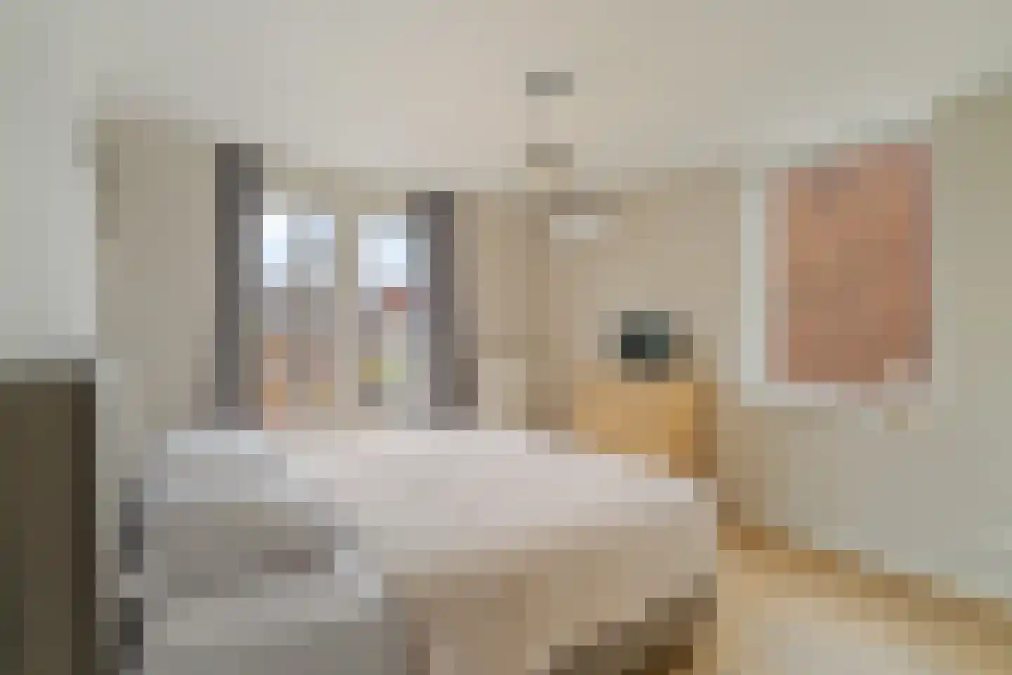 Prins Bernhardstraat 76 Noordwijk thumbnail 19
