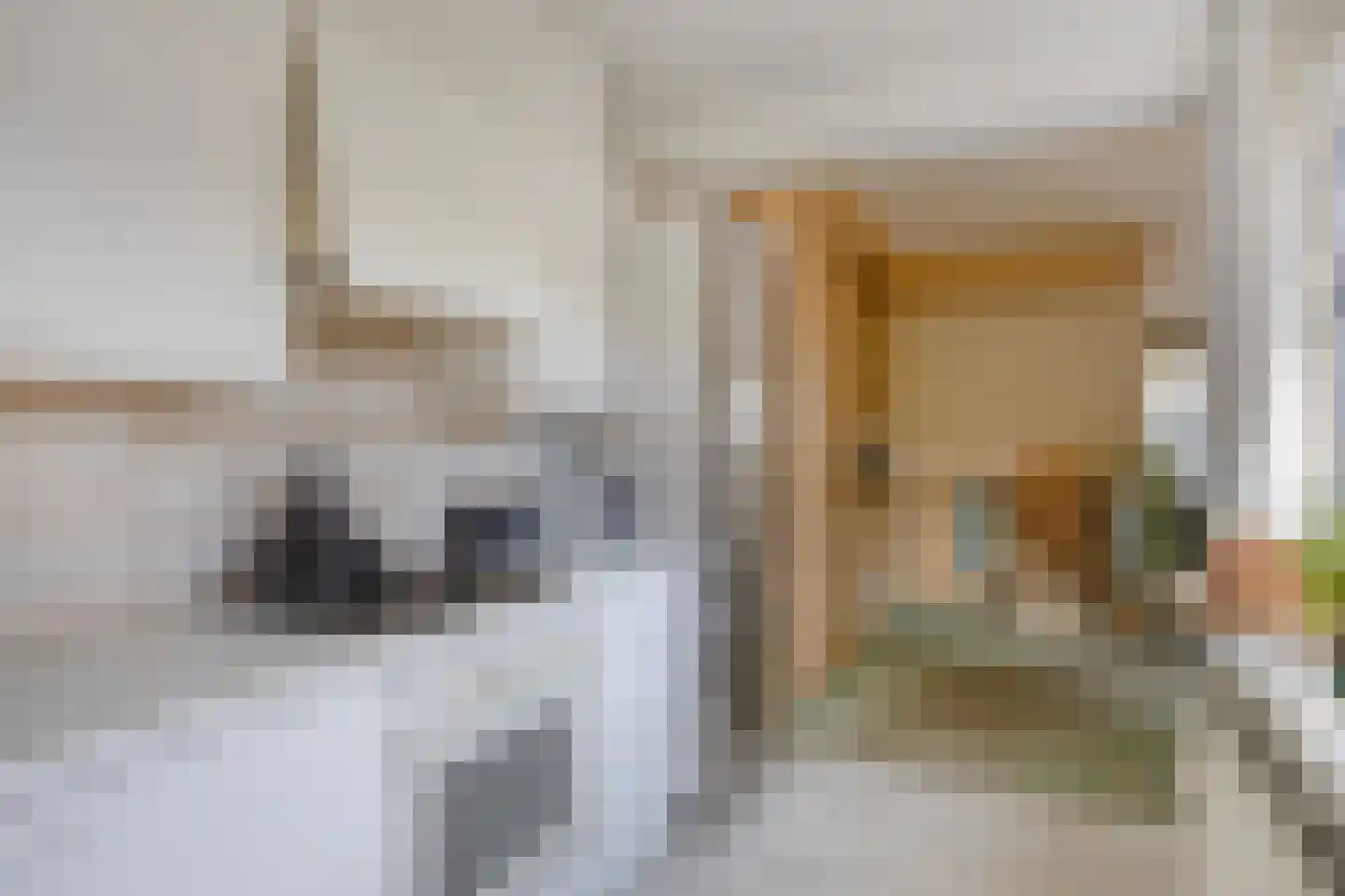 Prins Bernhardstraat 8 Benthuizen thumbnail 10