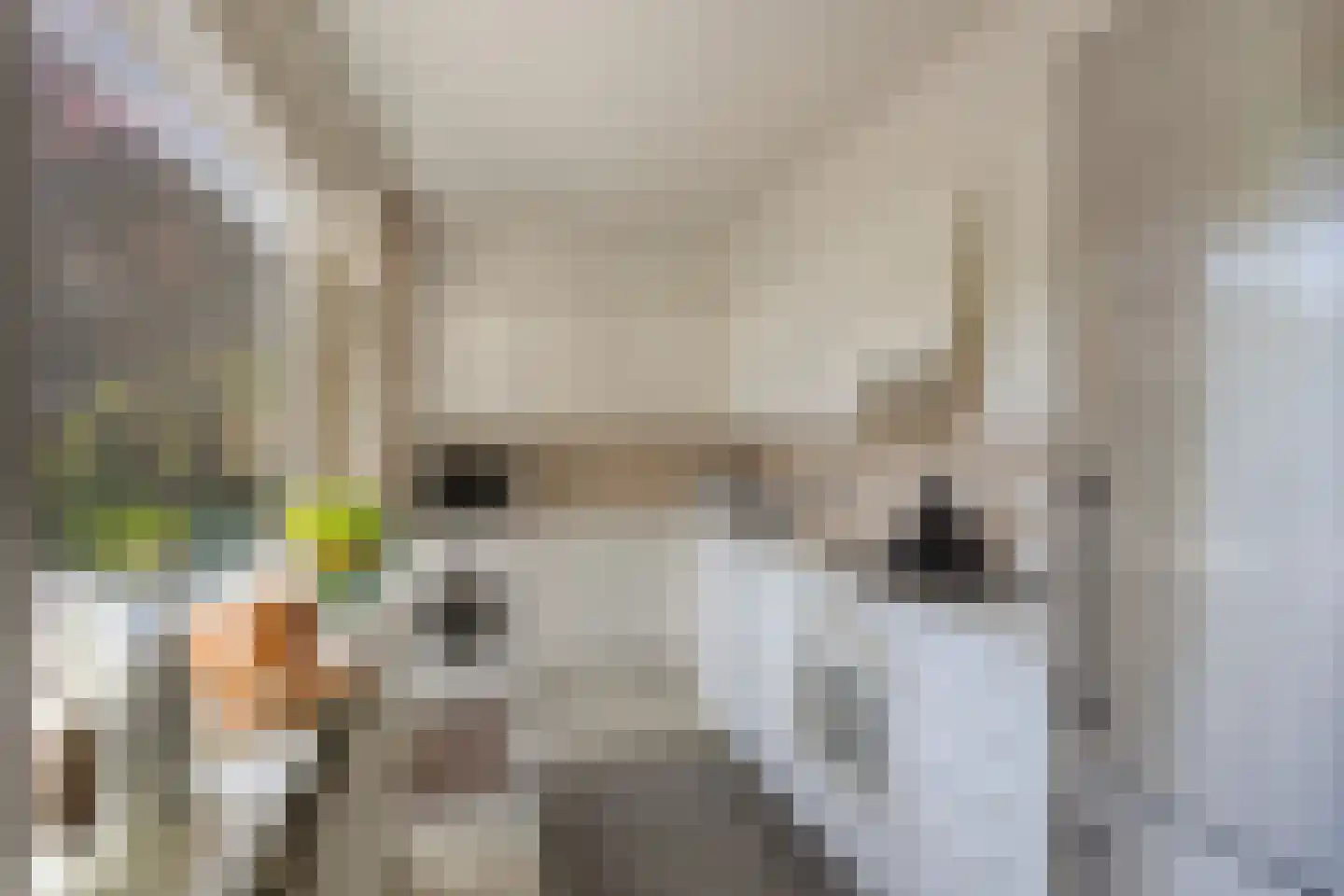 Prins Bernhardstraat 8 Benthuizen thumbnail 11