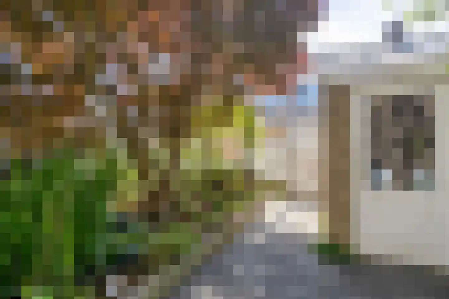 Prins Bernhardstraat 8 Benthuizen thumbnail 13