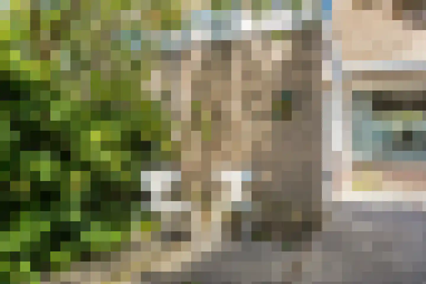 Prins Bernhardstraat 8 Benthuizen thumbnail 15