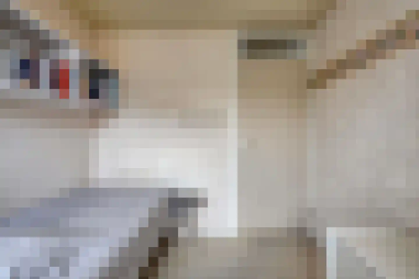 Prins Bernhardstraat 8 Benthuizen thumbnail 24