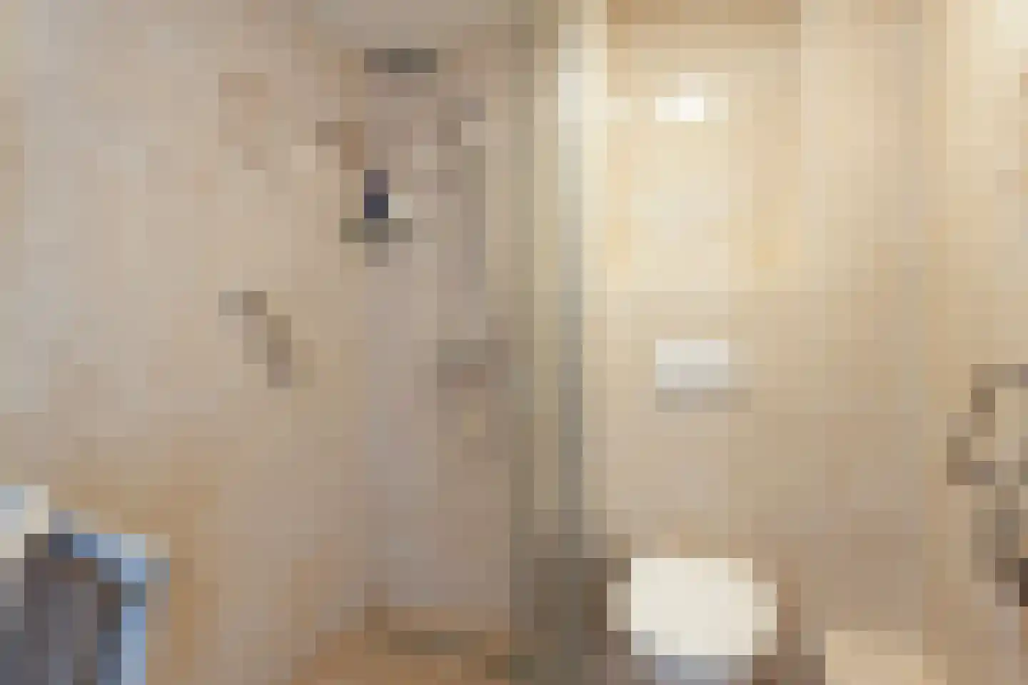 Prins Bernhardstraat 8 Benthuizen thumbnail 26