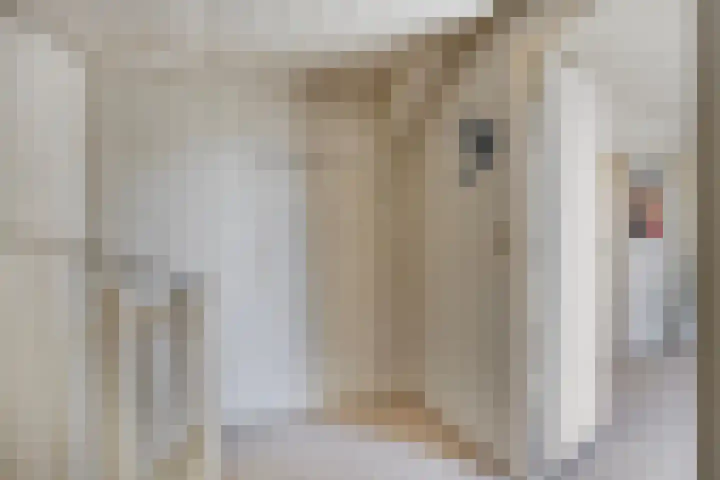 Prins Bernhardstraat 8 Benthuizen thumbnail 34