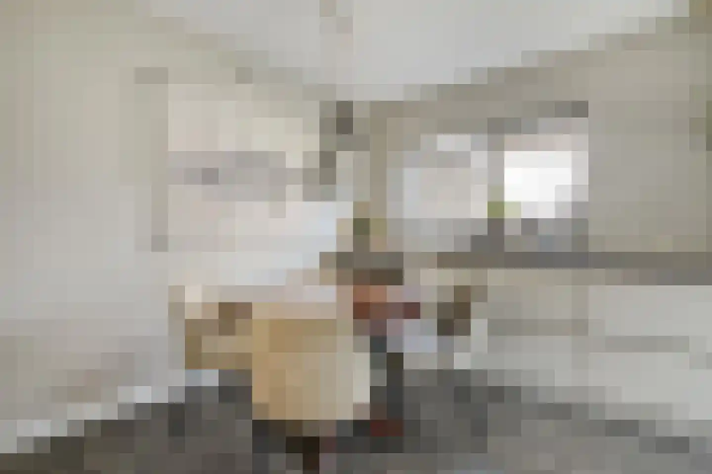 Prins Bernhardstraat 8 Dalfsen thumbnail 10