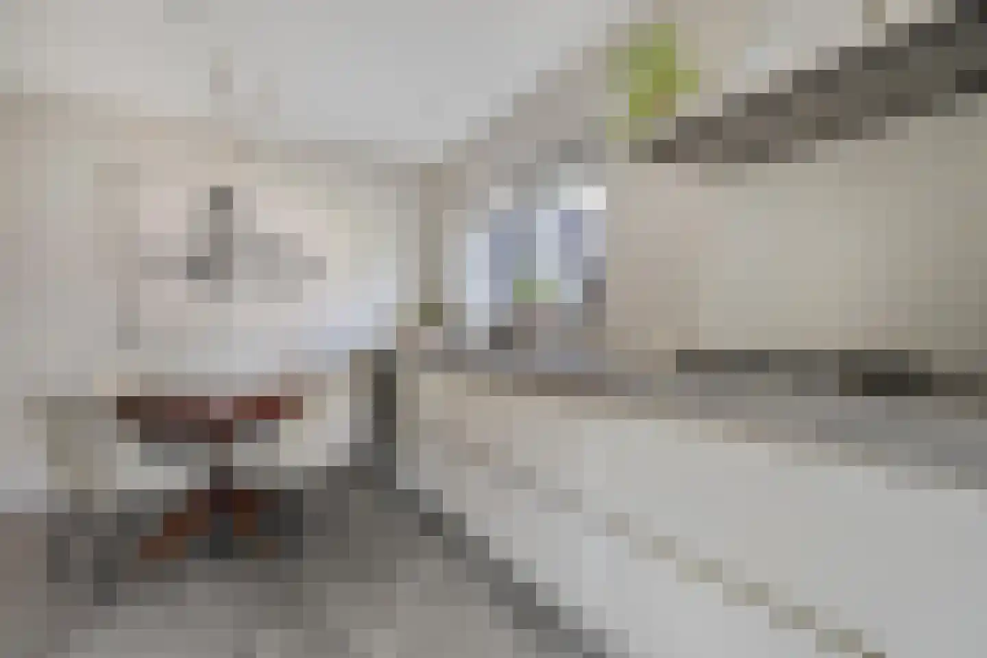 Prins Bernhardstraat 8 Dalfsen thumbnail 12