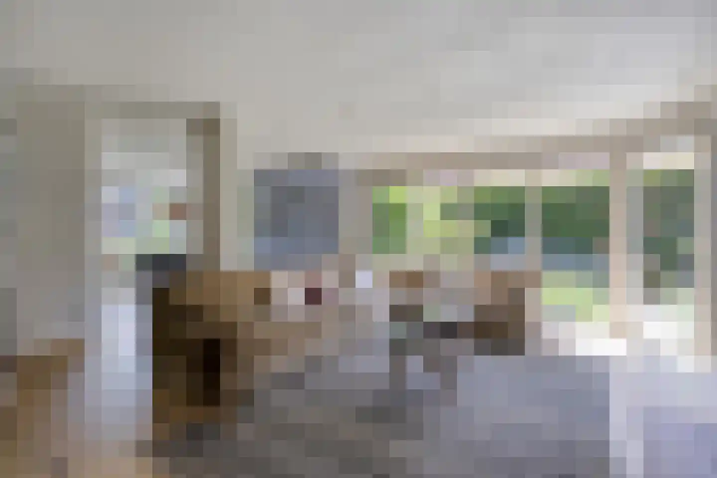 Prins Bernhardstraat 8 Dalfsen thumbnail 15