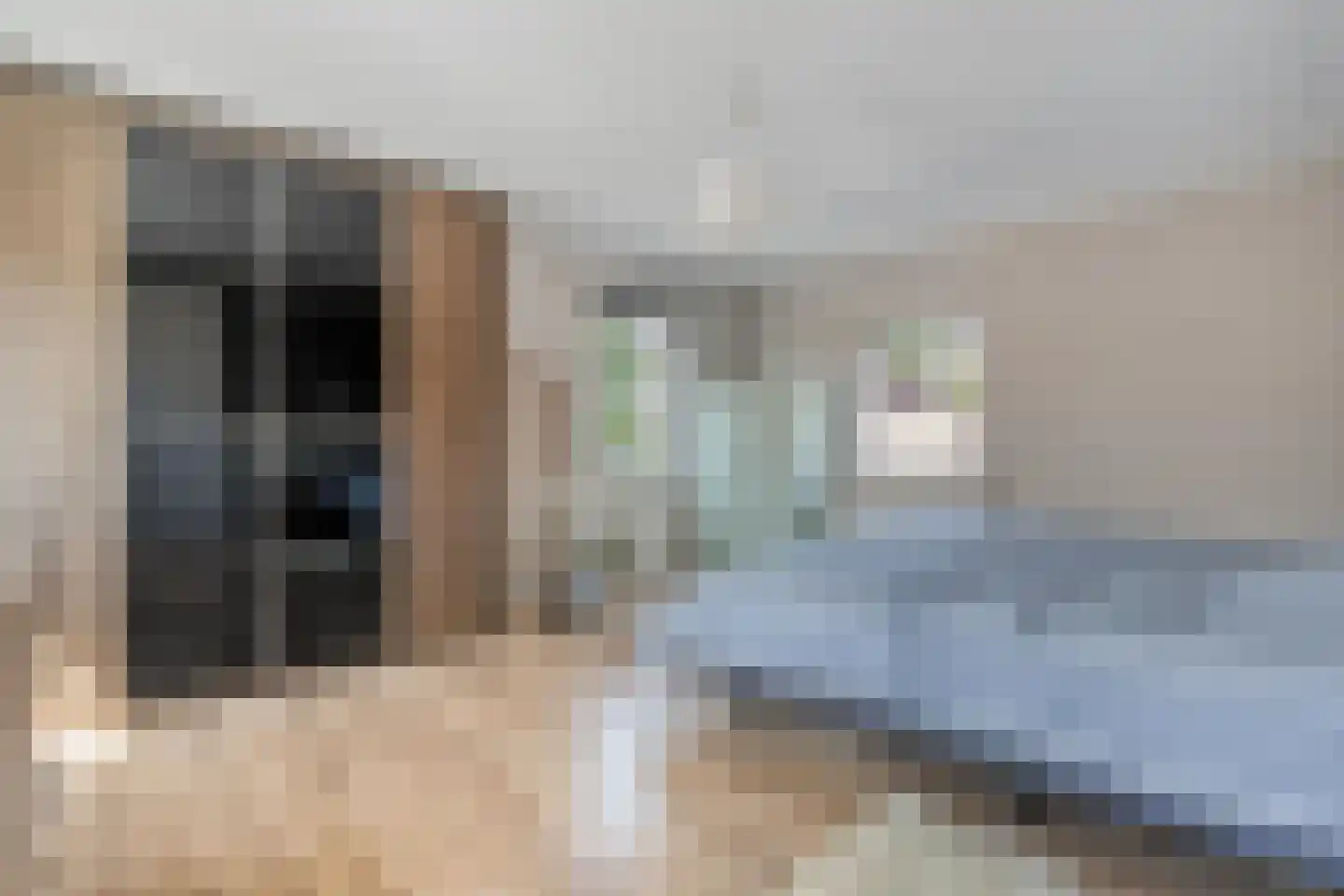 Prins Bernhardstraat 8 Dalfsen thumbnail 31