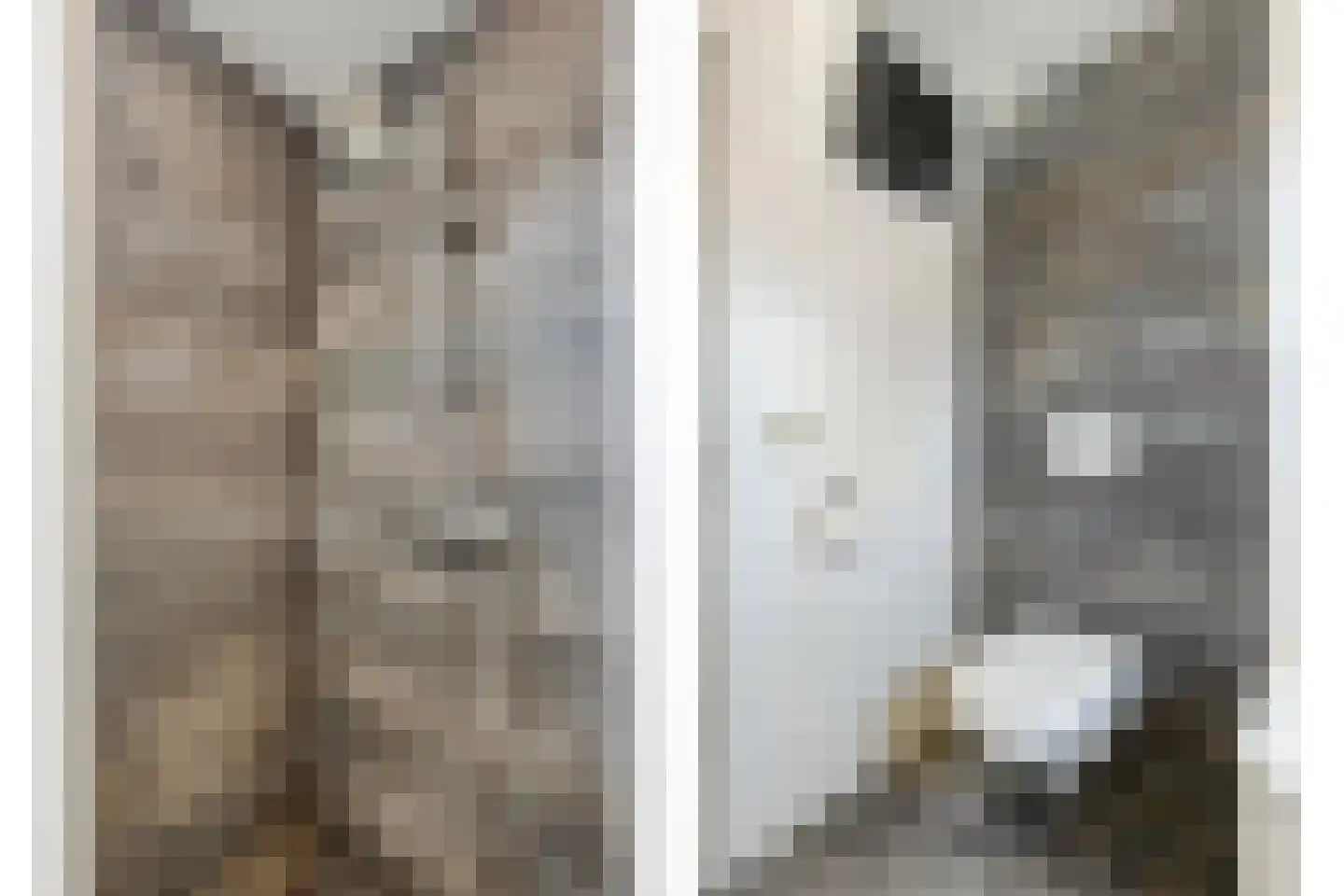 Prins Bernhardstraat 8 Dalfsen thumbnail 38