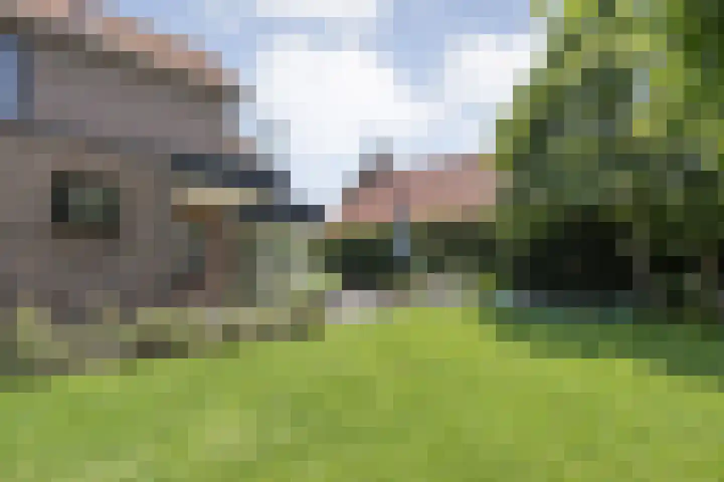 Prins Bernhardstraat 8 Dalfsen thumbnail 4