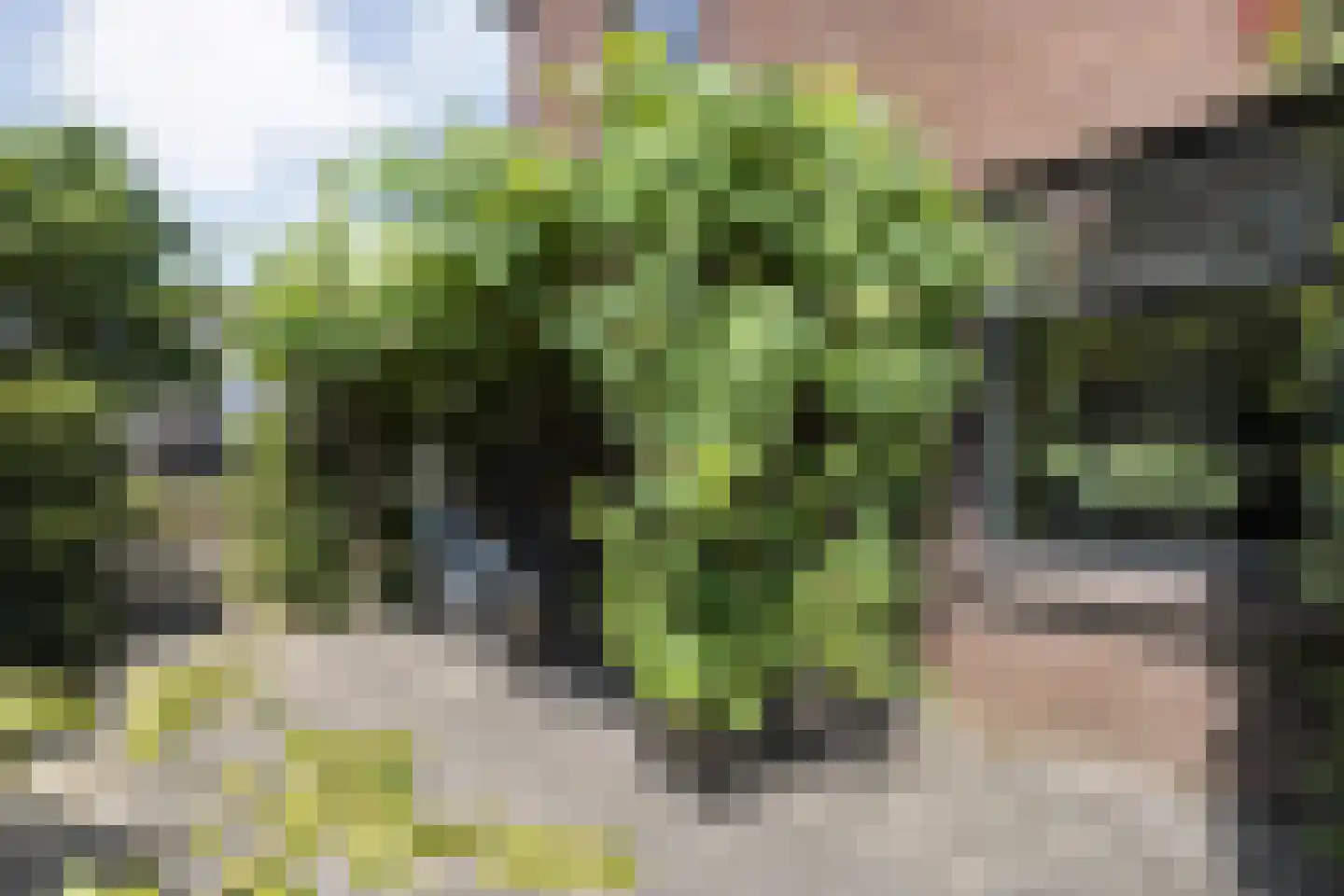 Prins Bernhardstraat 8 Dalfsen thumbnail 43