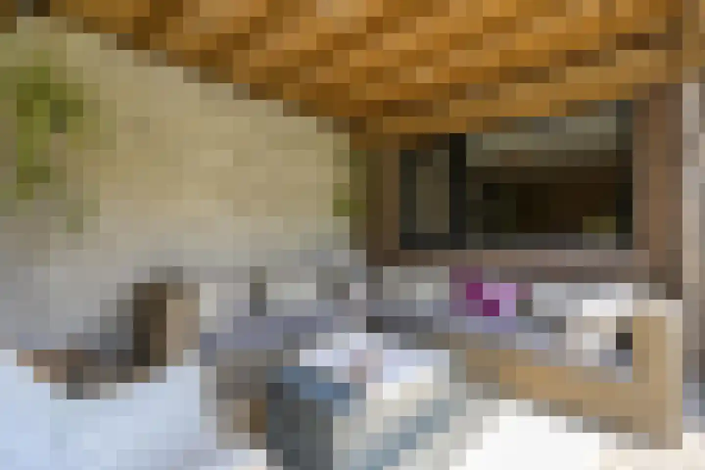 Prins Bernhardstraat 8 Dalfsen thumbnail 46