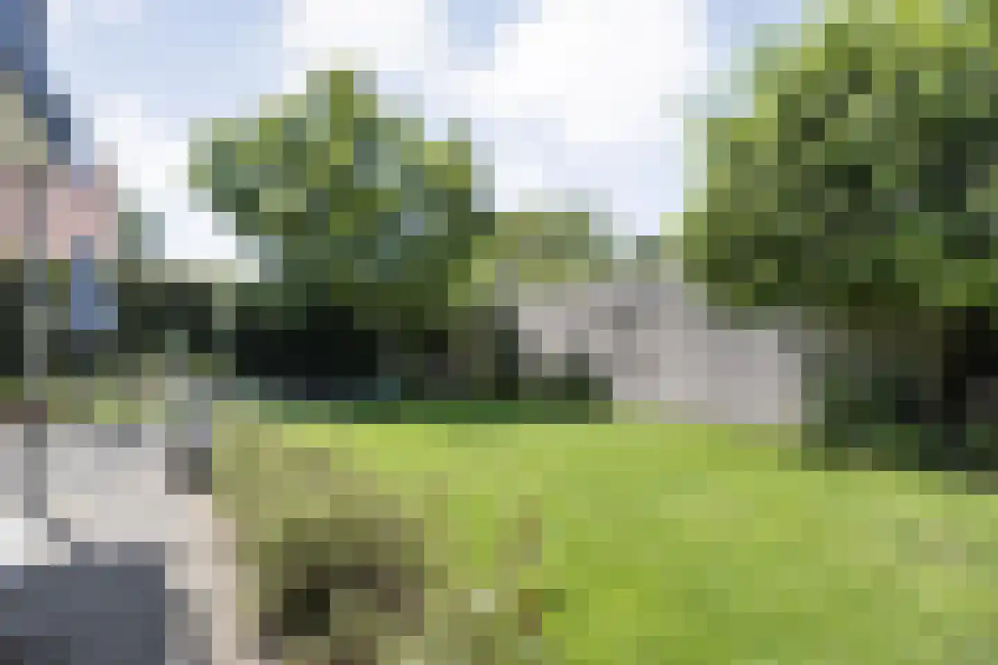 Prins Bernhardstraat 8 Dalfsen thumbnail 49