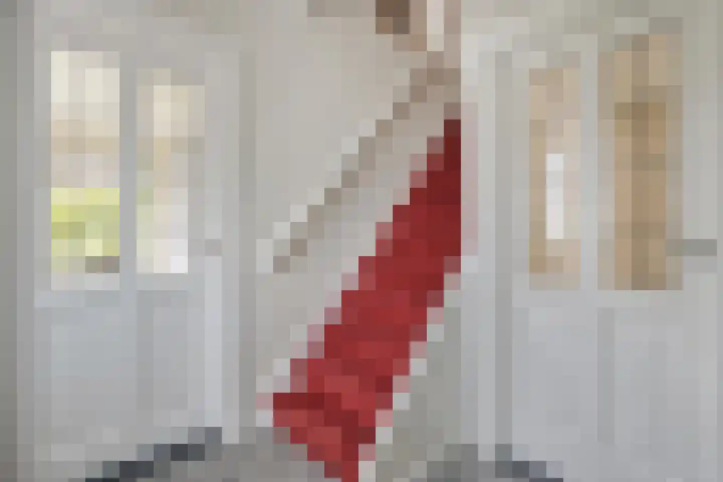 Prins Bernhardstraat 8 Dalfsen thumbnail 6