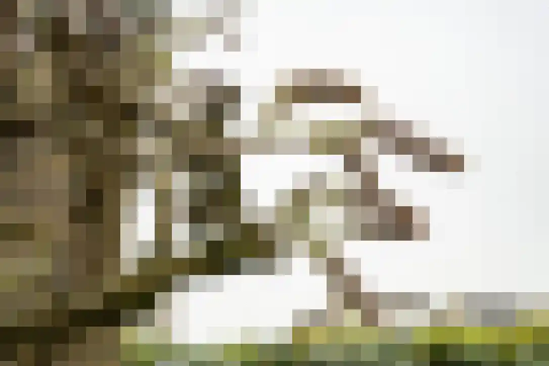 Prins Bernhardstraat 8 Schoonrewoerd thumbnail 12