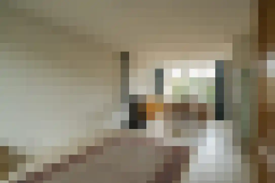 Prins Bernhardstraat 8 Schoonrewoerd thumbnail 18