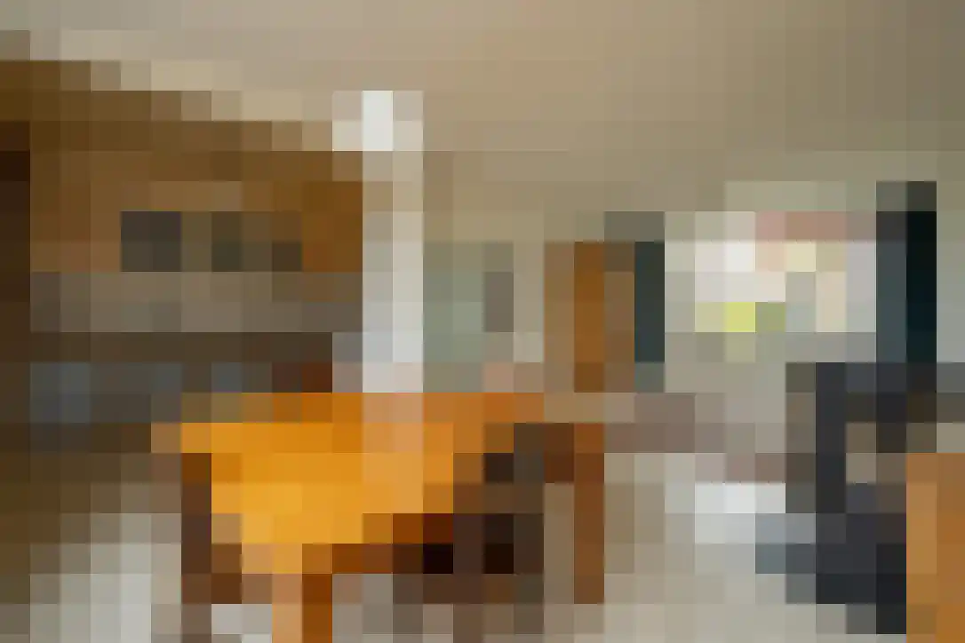 Prins Bernhardstraat 8 Schoonrewoerd thumbnail 30