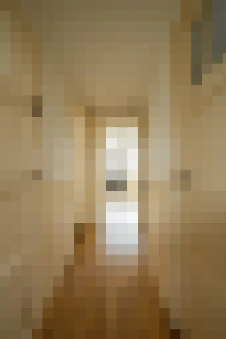 Prins Bernhardstraat 8 Schoonrewoerd thumbnail 36