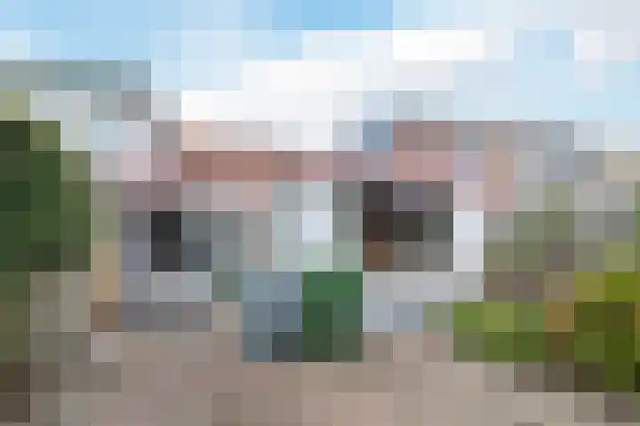 Prins Bernhardstraat 83 Oud-Beijerland thumbnail 17
