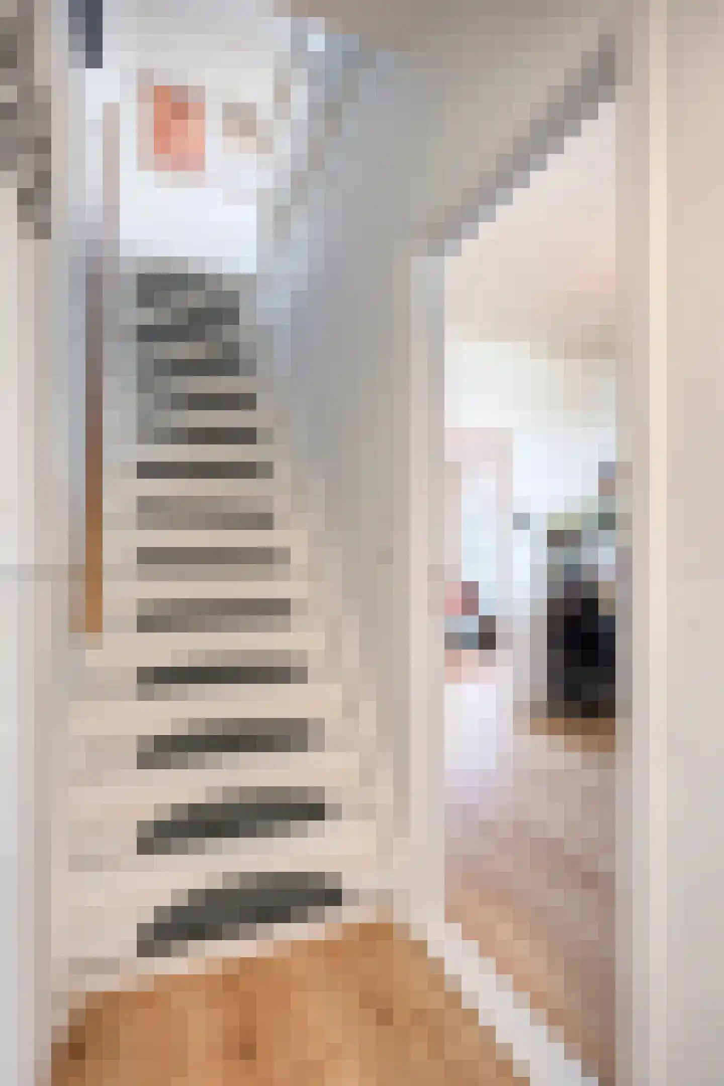 Prins Bernhardstraat 84 Oud-Beijerland thumbnail 17